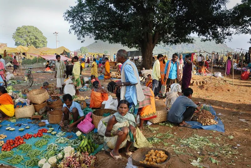 Dongria Kondh Tribal Market